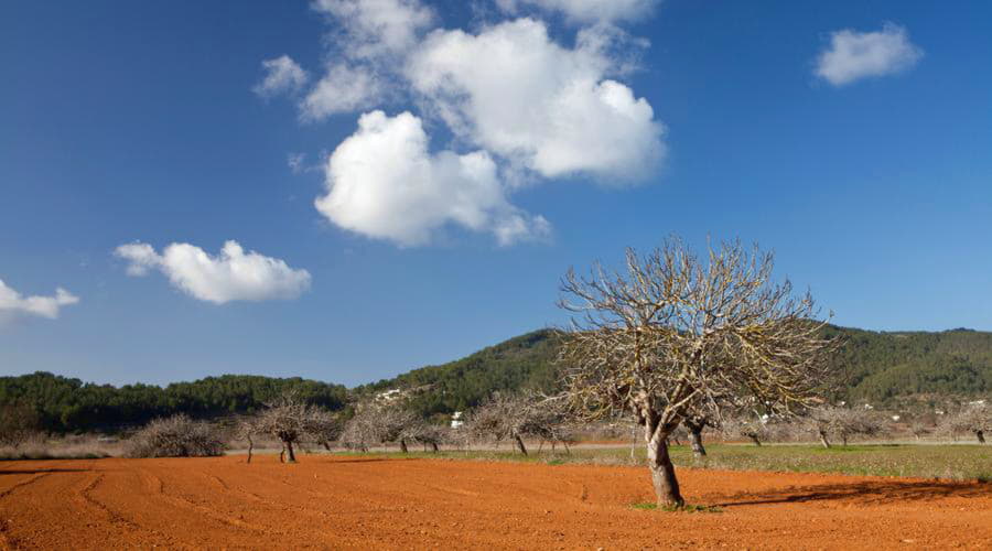 Nejlepší nabídky pronájmu aut v Sant Miquel de Balansat